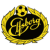 IF Elfsborg